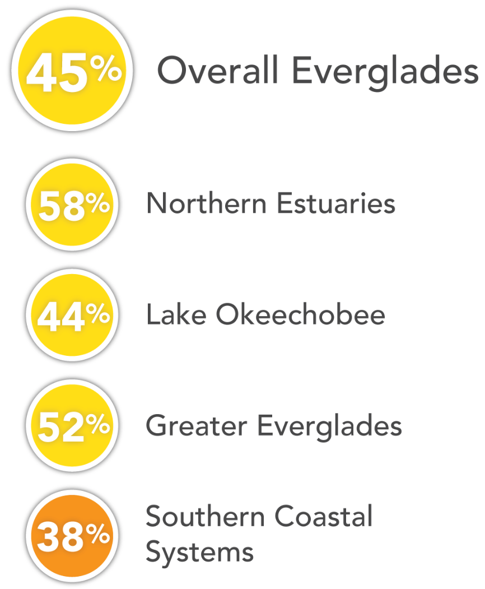 Report card grades for overall and regions. Overall scored Fair at 45%. Northern Estuaries scored fair at 58%. Lake Okeechobee scored fair at 44%. Greater Everglades scored fair at 52%. Southern Coastal Systems scored Poor at 38%.